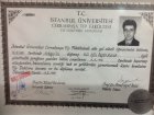 Op. Dr. Özgür Kavaz Kadın Hastalıkları ve Doğum sertifikası