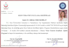 Dr. Dilek Kubilay Medikal Estetik Tıp Doktoru sertifikası