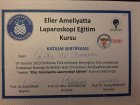 Op. Dr. Ali Bahadırlı Kadın Hastalıkları ve Doğum sertifikası
