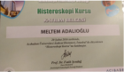 Op. Dr. Medine Meltem Adalıoğlu Kadın Hastalıkları ve Doğum sertifikası