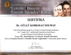 Op. Dr. Güllü Korkmaz Solmaz Plastik Rekonstrüktif ve Estetik Cerrahi sertifikası