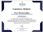 Psk. Dan. Nur Birincioğlu Şahin Psikolojik Danışman sertifikası