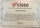 Uzm. Psk. Ayşegül Özkan Uzun Psikoloji sertifikası