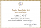 Prof. Dr. Serhat Fındık Göğüs Hastalıkları sertifikası