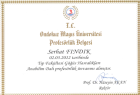 Prof. Dr. Serhat Fındık Göğüs Hastalıkları sertifikası