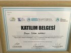 Dr. Selen Dağıstan Namlı Cinsel Terapi Sertifikalı Tıp Doktoru sertifikası