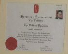 Prof. Dr. Ahmet Karamercan Genel Cerrahi sertifikası