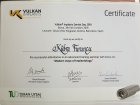 Dt. Kübra Furuncu Kaya Diş Hekimi sertifikası
