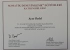 Uzm. Kl. Psk. Zeynep Ayşe Bedel Psikoloji sertifikası