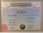 Dr. Dt. Menije Menderes Diş Hekimi sertifikası