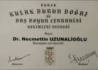 Op. Dr. Necmettin Uzunalioğlu Kulak Burun Boğaz hastalıkları - KBB sertifikası