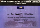 Yrd. Doç. Dr. Levent Mıhçıoğlu Kadın Hastalıkları ve Doğum sertifikası