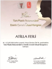Op. Dr. Atilla Fesli Plastik Rekonstrüktif ve Estetik Cerrahi sertifikası