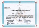 Dr. Salim Ulu Akupunktur sertifikası