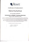 Dil ve Konuşma Terapisti Sena Kurtulmuş Dil Konuşma Bozuklukları sertifikası