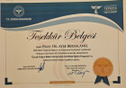 Prof. Dr. Ayşe Berna Anıl Çocuk Sağlığı ve Hastalıkları sertifikası