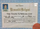 Op. Dr. Cenan Oktay Genel Cerrahi sertifikası