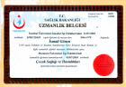 Dr. Öğr. Üyesi İsmail Gönen Çocuk Sağlığı ve Hastalıkları sertifikası