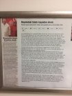 Prof. Dr. Mehmet Erkan Üstün Beyin ve Sinir Cerrahisi sertifikası