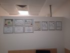 Dr. Öğr. Üyesi Feza Burak Kadın Hastalıkları ve Doğum sertifikası