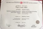 Psk. Dan. Berfin Akgül Psikolojik Danışman sertifikası