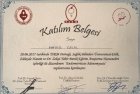 Doç. Dr. Hatice Çelik Kadın Hastalıkları ve Doğum sertifikası