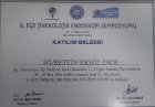 Op. Dr. Nurettin Ersöz İnce Kadın Hastalıkları ve Doğum sertifikası