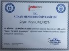 Aile Danışmanı Feyza Akarsu Aile Danışmanı sertifikası