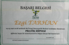 Uzm. Psk. Ezgi Tarhan Psikoloji sertifikası