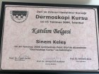 Dr. Öğr. Üyesi Hüsniye Sinem Gürbüz Dermatoloji sertifikası