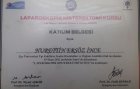 Op. Dr. Nurettin Ersöz İnce Kadın Hastalıkları ve Doğum sertifikası