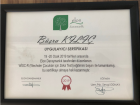 Psk. Büşra Kılıç Psikoloji sertifikası