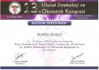 Op. Dr. Yunus Yıldız Kadın Hastalıkları ve Doğum sertifikası