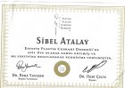 Op. Dr. Sibel Atalay Plastik Rekonstrüktif ve Estetik Cerrahi sertifikası