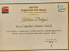 Dt. Gülbahar Yalçın Diş Hekimi sertifikası