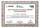 Dr. Cemalettin Ekmekcioğlu Geleneksel ve Tamamlayıcı Tıp sertifikası