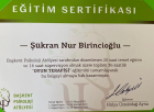 Psk. Dan. Nur Birincioğlu Şahin Psikolojik Danışman sertifikası