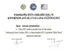 Op. Dr. Ercan Gündoğdu Kulak Burun Boğaz hastalıkları - KBB sertifikası