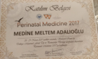 Op. Dr. Medine Meltem Adalıoğlu Kadın Hastalıkları ve Doğum sertifikası