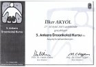 Doç. Dr. İlker Akyol Üroloji sertifikası