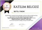 Aile Danışmanı Betül Fındık Aile Danışmanı sertifikası