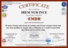 Klinik Psikolog  İrem Nur İnce Psikoloji sertifikası