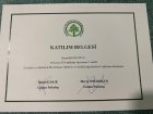 Psk. Begüm Görgülü Psikoloji sertifikası