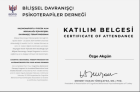 Psk. Özge Akgün Psikoloji sertifikası