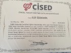 Uzm. Kl. Psk. Elif Özdemir Psikoloji sertifikası