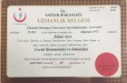 Prof. Dr. Zekai Avcı Çocuk Sağlığı ve Hastalıkları sertifikası