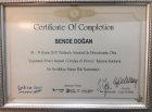 Dt. Bende Doğan Diş Hekimi sertifikası
