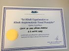 Uzm. Dr. Sevgi Ekmen Çavuş Dermatoloji sertifikası