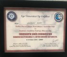 Yrd. Doç. Dr. Sezgin Kurt Kulak Burun Boğaz hastalıkları - KBB sertifikası