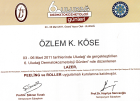 Doç. Dr. Özlem Karadağ Köse Dermatoloji sertifikası